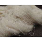 Albizia Shine Light Fing - Commande personnalisée