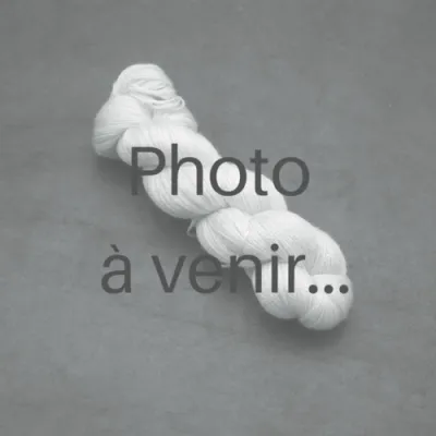 Marqueur ArsMirabilia