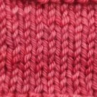 Framboise givrée